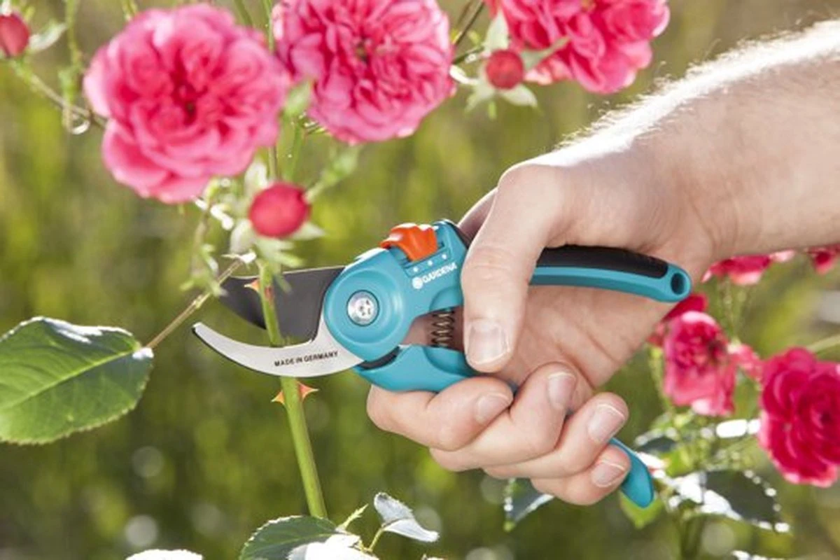 GARDENA - Classic B/S-M Bypass Snoeischaar - Ø 22mm - 25 Jaar Garantie - Afbeelding 9