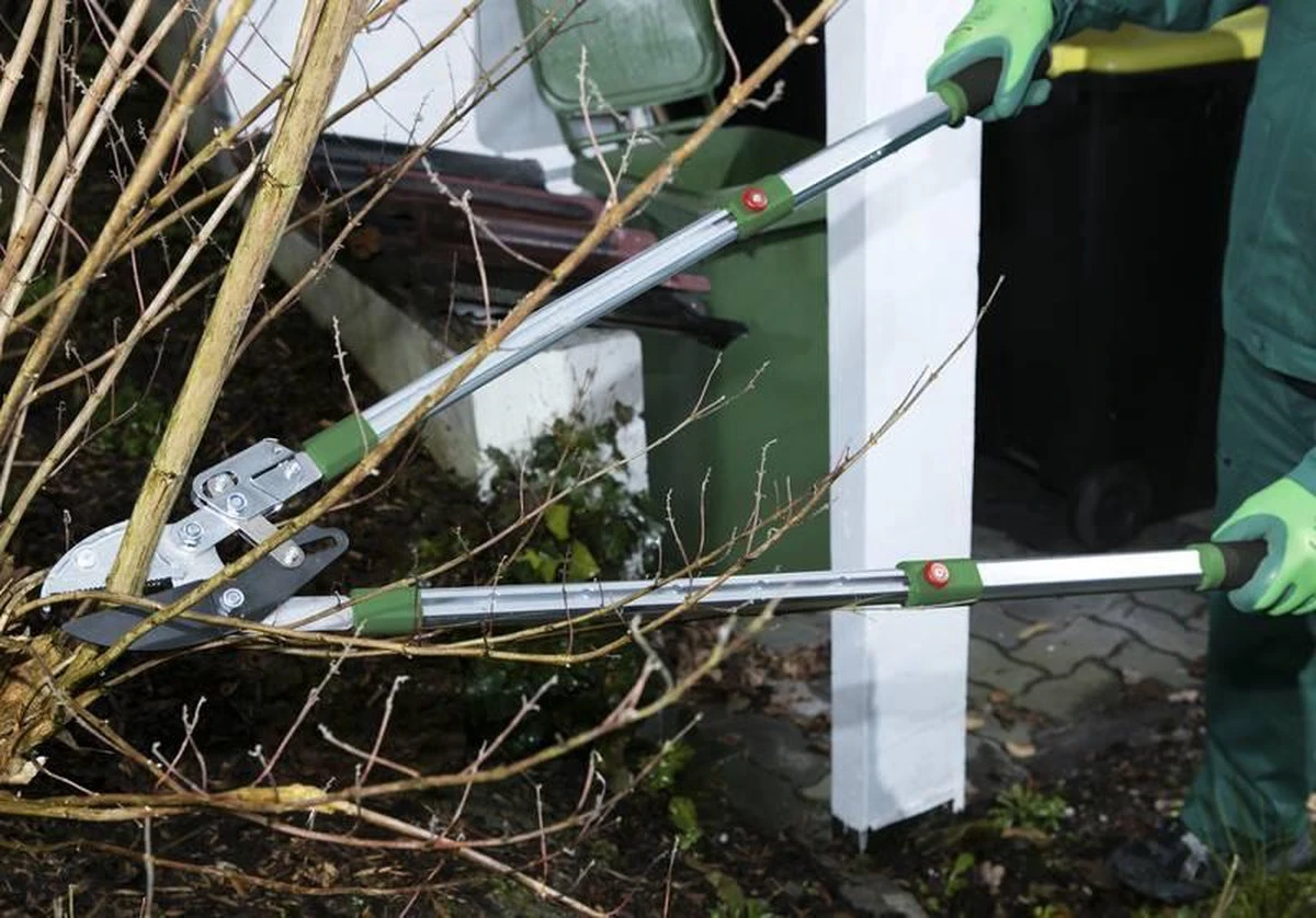 Telescopische Takkenschaar, 6-voudig - Afbeelding 2